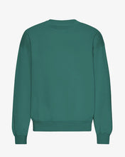 Load image into Gallery viewer, Unisex Oversized Organic Crew Sweatshirt