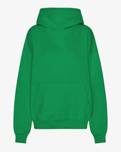 Load image into Gallery viewer, Unisex Oversized Organic Hoodie
