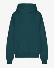 Load image into Gallery viewer, Unisex Oversized Organic Hoodie