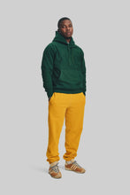 Load image into Gallery viewer, Classic Pullover Hooded Sweatshirt