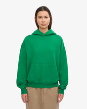 Load image into Gallery viewer, Unisex Oversized Organic Hoodie