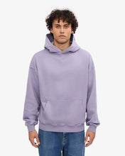Load image into Gallery viewer, Unisex Oversized Organic Hoodie