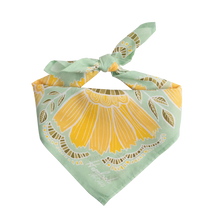 Load image into Gallery viewer, Handker Bandanas