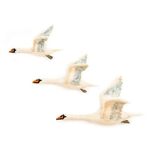Load image into Gallery viewer, Decorative Wall Trio