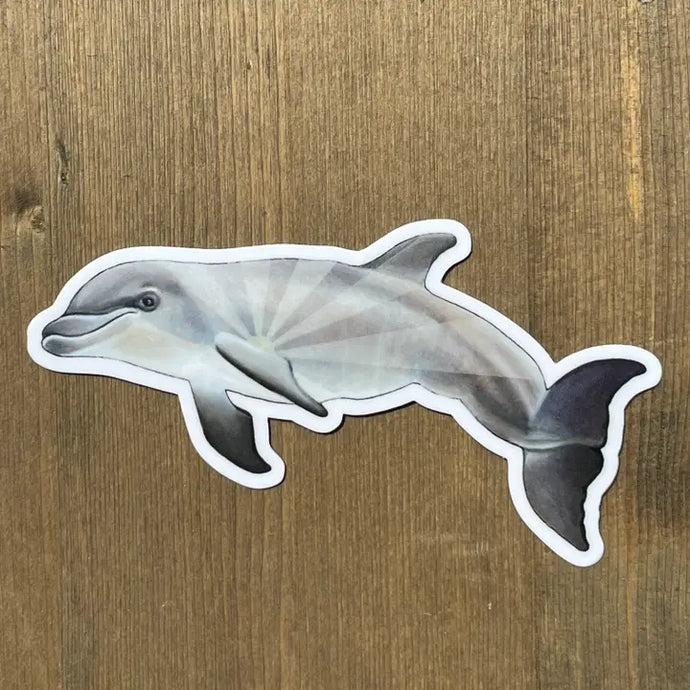 Dolphin Sticker