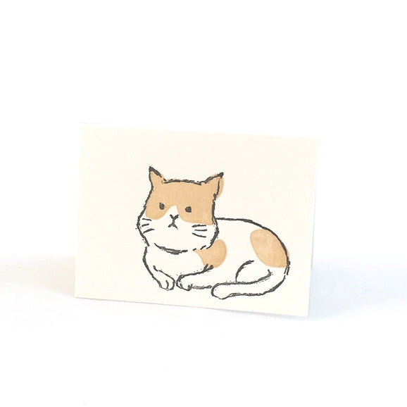Mini Cat Card