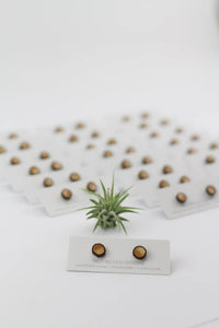 Tiny Branch Stud Earrings