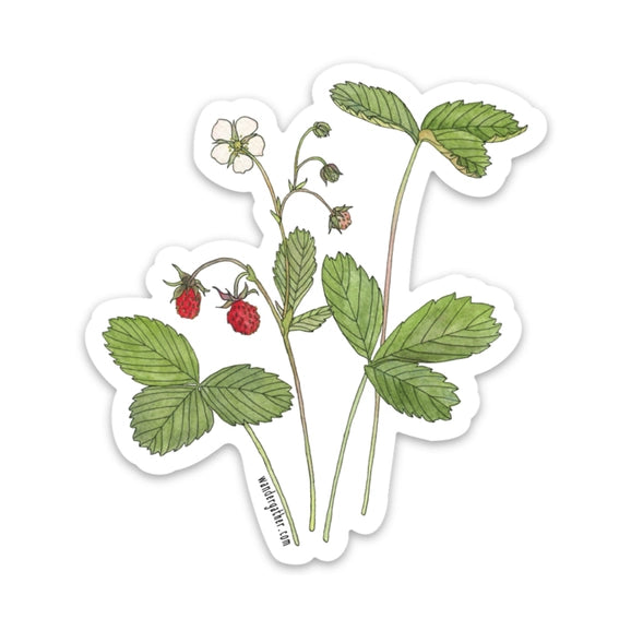 Wild Strawberry Sticker