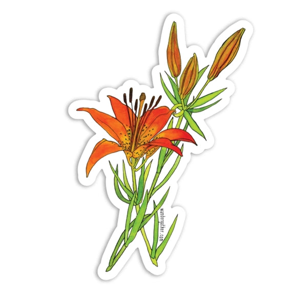 Wood Lily Sticker