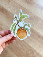 Load image into Gallery viewer, Summer Peach Fruit Tree Sticker