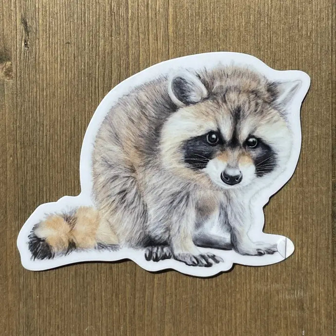 Baby Racoon Sticker