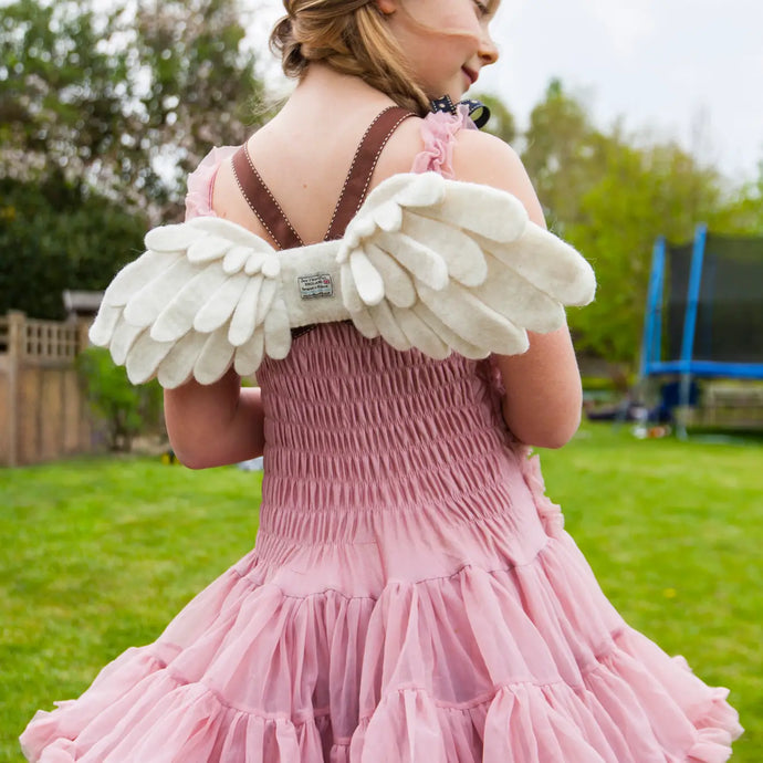Angel Wings Dressing Up Set