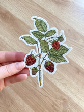 Load image into Gallery viewer, Red Raspbery Sticker