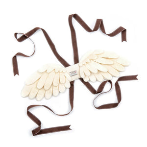 Angel Wings Dressing Up Set