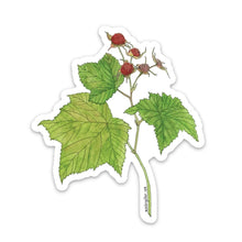 Load image into Gallery viewer, Thimbleberry Sticker