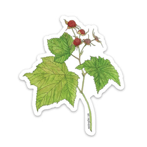 Thimbleberry Sticker