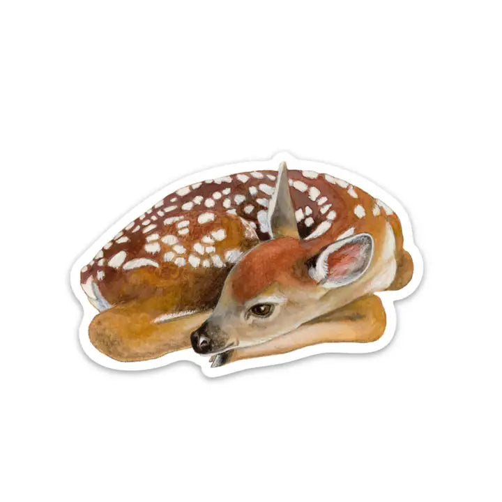 Baby Deer Sticker