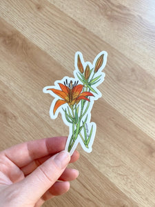 Wood Lily Sticker