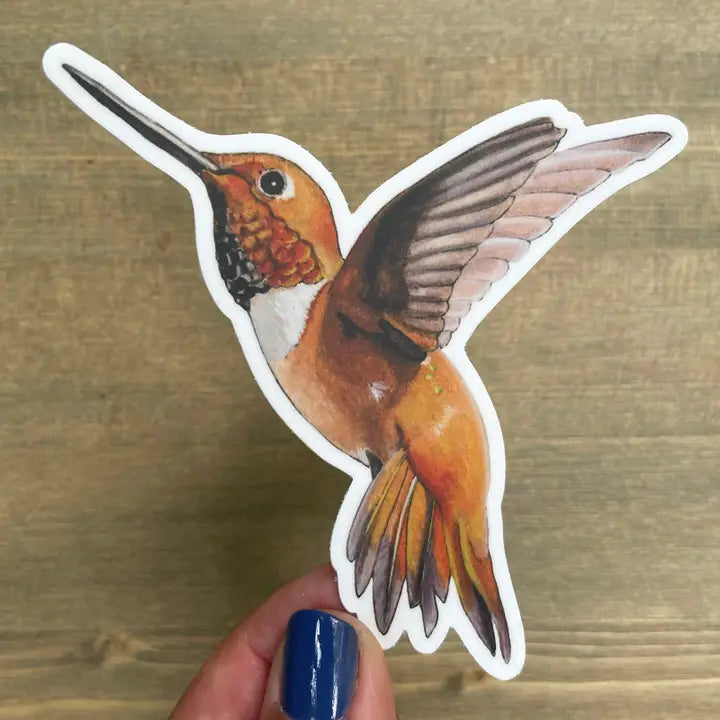 Rufous Hummingbird Sticker