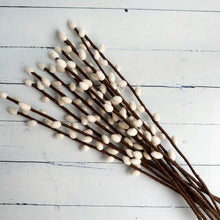 Load image into Gallery viewer, Felted Pussy Willow Stem