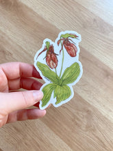 Load image into Gallery viewer, Pink Lady Slipper Sticker