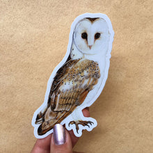 Load image into Gallery viewer, Barn Owl - Sticker
