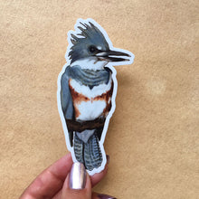 Load image into Gallery viewer, Belted Kingfisher - Sticker