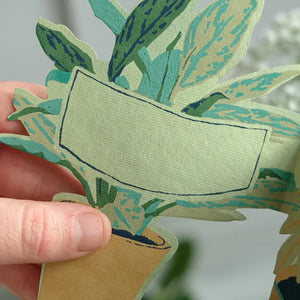 Plant Greeting Card