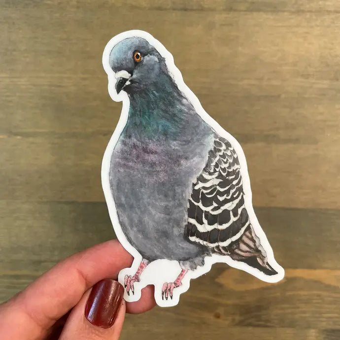 Pigeon Sticker