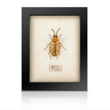 Load image into Gallery viewer, Framed Hand Embroidered Beaded Insects