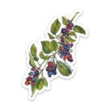 Load image into Gallery viewer, Serviceberry Sticker
