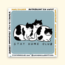 Load image into Gallery viewer, Tuxedo Cats Sticker