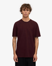 Load image into Gallery viewer, Men's Classic Organic Tee