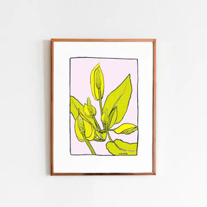 Skunk Cabbage Artwork Print