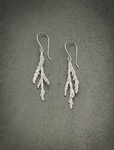 Winter Cedar Branch Earrings - Silver