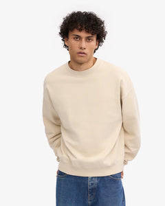 Unisex Oversized Organic Crew Sweatshirt