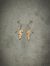 Load image into Gallery viewer, Summer Cedar Branch Earrings - bronze + 14k goldfilled hooks